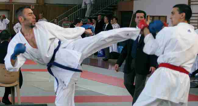 karate metz magnificpopup/ffkda sl-20130409_2.jpg