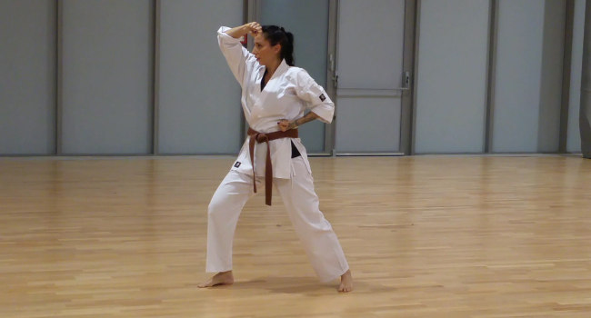karate metz os-magnificpopup/katas heian-shodan-el.jpg